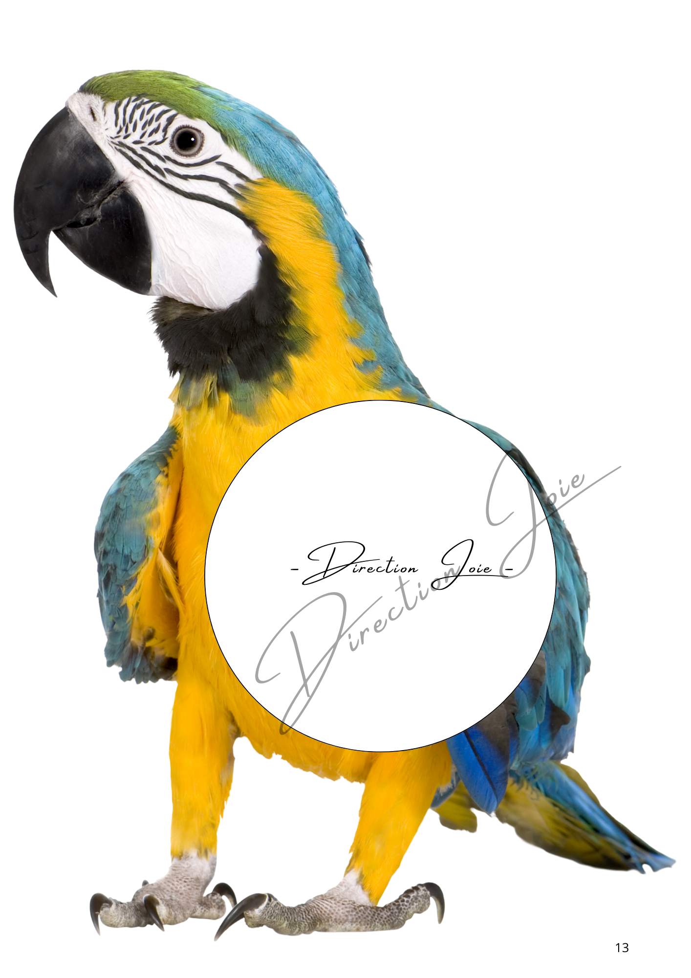 💻 Mon Tout Petit Cahier - Les animaux