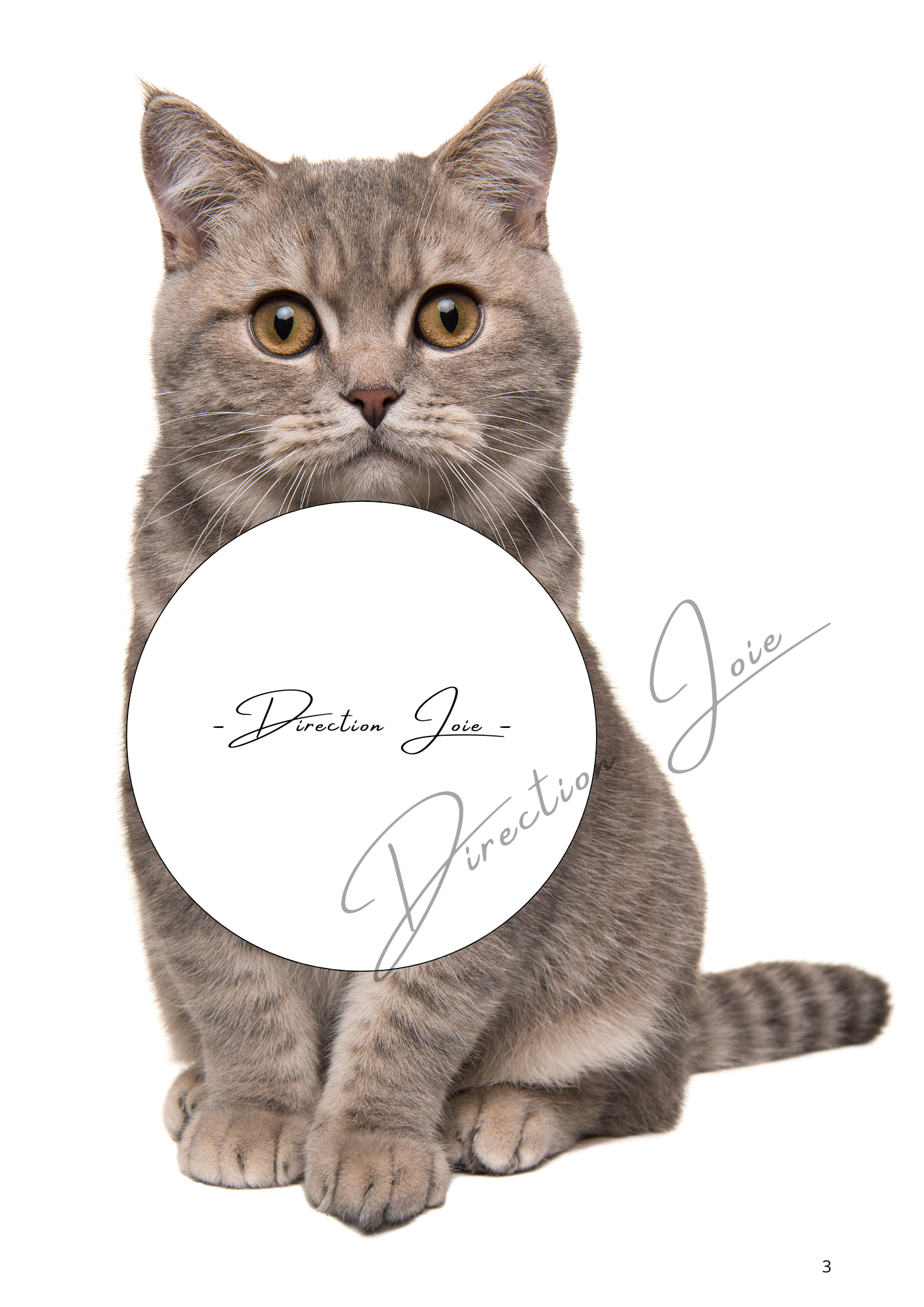 💻 Mon Tout Petit Cahier - Les animaux