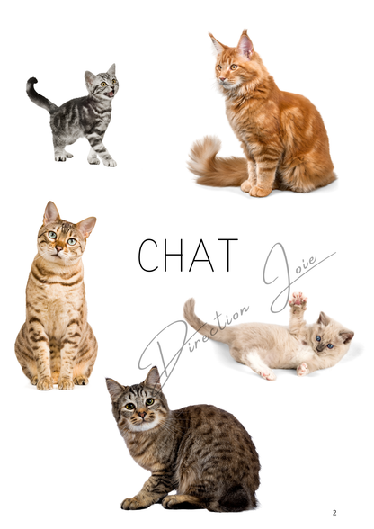 💻 Mon Tout Petit Cahier - Les animaux